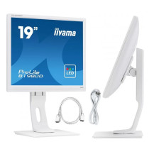 Monitor iiyama ProLite B1980D-W1 19" format 5:4 Biały z...