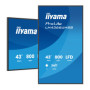 Monitor prezentacyjny 43" iiyama DS LH4364UHS-B1AG, 4K VA LED, USB-C, iiSignage² (CMS), iiControl (DMS), iiShare , 24/7