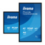 OUTLET Monitor interaktywny iiyama ProLite T4329AS-B1AG 43" 4K VA LED, USB-C, WiFi, LAN, eShare, iiShare