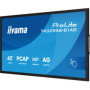 OUTLET Monitor interaktywny iiyama ProLite T4329AS-B1AG 43" 4K VA LED, USB-C, WiFi, LAN, eShare, iiShare