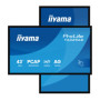 OUTLET Monitor interaktywny iiyama ProLite T4329AS-B1AG 43" 4K VA LED, USB-C, WiFi, LAN, eShare, iiShare