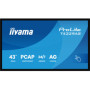 OUTLET Monitor interaktywny iiyama ProLite T4329AS-B1AG 43" 4K VA LED, USB-C, WiFi, LAN, eShare, iiShare