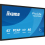 OUTLET Monitor interaktywny iiyama ProLite T4329AS-B1AG 43" 4K VA LED, USB-C, WiFi, LAN, eShare, iiShare