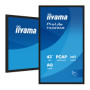 OUTLET Monitor interaktywny iiyama ProLite T4329AS-B1AG 43" 4K VA LED, USB-C, WiFi, LAN, eShare, iiShare