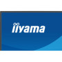 Monitor iiyama ProLite XB2797QSN-B1 27" IPS WQHD LED 1ms 75Hz /USB-C HDMI DP/ LAN Stacja dokująca FlickerFree