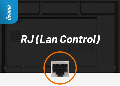 Control prin LAN